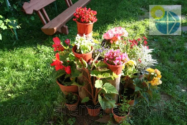 Яремче Гостинный двор Яблучко.