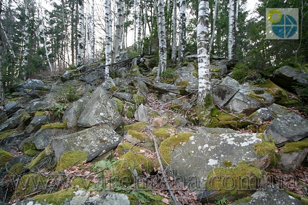 Фото.Яремче.
